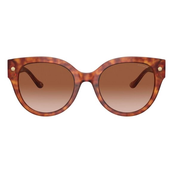 New COACH CR612 Havana Round HC8393U 5774/13 Sunglasses Women - Picture 2 of 6